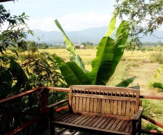 Pai Herbs Resort Bilik gambar
